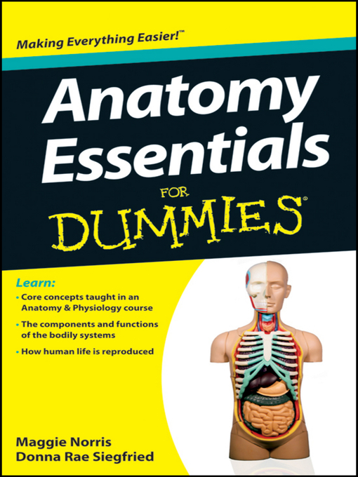 Title details for Anatomy Essentials For Dummies by Maggie A. Norris - Available